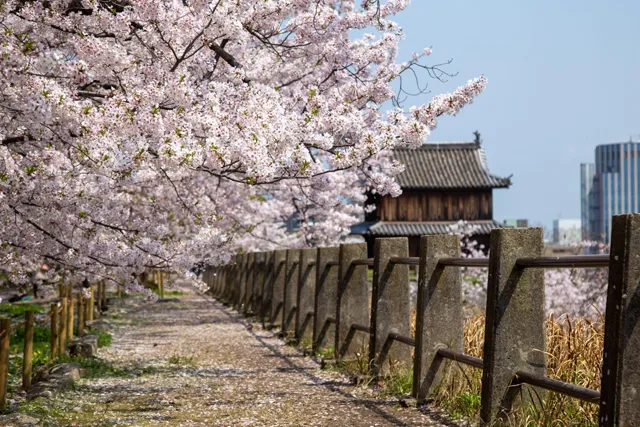 福岡城跡