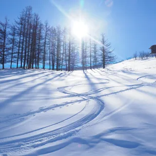 慰安旅行北海道ツアーの雪山