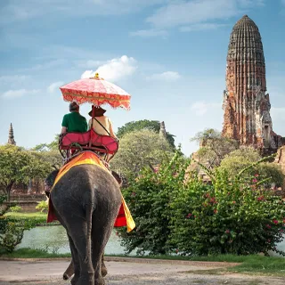 慰安旅行タイツアーの象とそれに乗る観光客