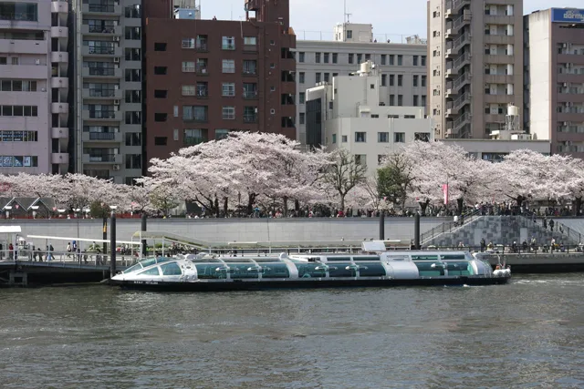 東京都観光汽船